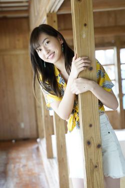 食物链在线观看高清全集免费 封面