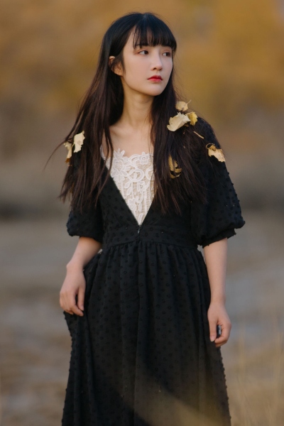 向苍涟士献上纯洁 封面