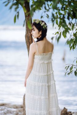 孙红雷新世界免费观看 封面