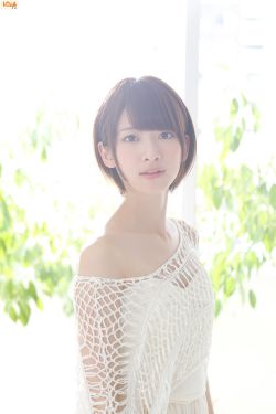 向涟苍骑士献上纯洁 封面