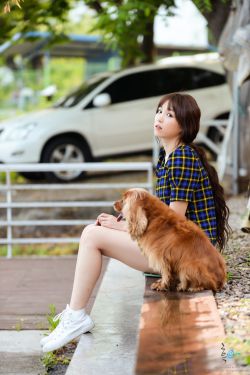 娼年在线观看 封面