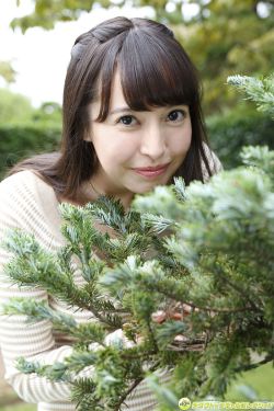 孙红雷演过的电视剧 封面