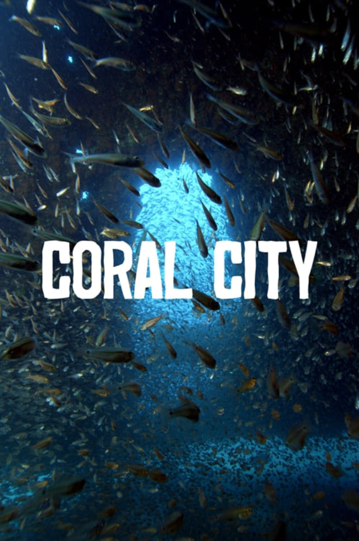 珊瑚城 第一季