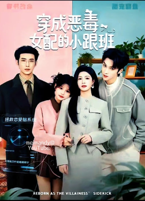 穿成恶毒女配的小跟班